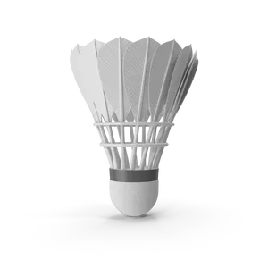 Feather Shuttlecock
